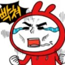 안산갈매기