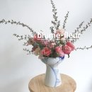 블루메플레르