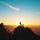 디자인LYD