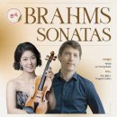 바이올린 이미지