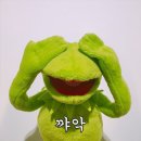 G9호텔 이미지