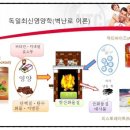 약초활용 생활건강법 이미지