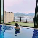 파레사애견풀빌라 이미지