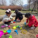 자연생활어린이집 이미지