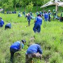 수영강변 이미지