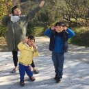 우포늪단감펜션 이미지