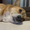 뚜벅이하우스 이미지