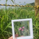 해파랑길관광안내소 이미지