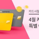 쥬쥬광고