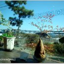 참전복구이 이미지