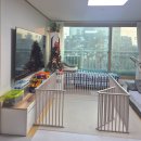 내강아지 | 독톡 강아지 커스텀 울타리 자석문 세트 내 돈 내산 후기