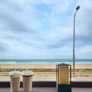 정글펜션 이미지