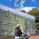 치유의숲 화장실 | 제주도 서귀포 치유의 숲 예약 방법과 아기랑 유모차 산책 후기