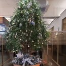 피오르달리조영주점 이미지