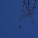 홍매뜨락협동조합 이미지