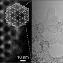 가메조네 이미지