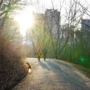 원수산 누리길 이미지