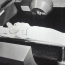 조영제행정사 이미지