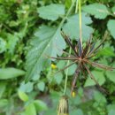 연촌초교 이미지