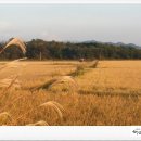 오방농장 이미지