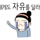 대가민박 이미지