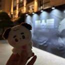 [25년 2분기]클래식기타 계속반 | 정우(JUNGWOO) 뮤지컬 페스트 콘서트 “This is Peste” 후기 | 프로정우아랑단으로 벅뚜벅뚜 걸어가다