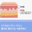 리즈힐의원 이미지