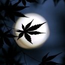 밤바람 이미지