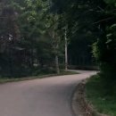 영덕 국립칠보산자연휴양림 솔나리 산수유 및 산림복합체험센터 후기