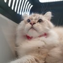 하린메디칼 이미지