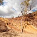 핏츠(PITS) 이미지