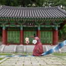 사단법인 안용복장군기념사업회 이미지