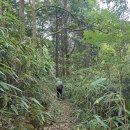 기체육공원 | 월출산이 물위로 두둥실 감탄이 저절로