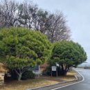 유관순 열사 생가 화장실 이미지