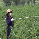 고수농장 이미지