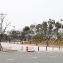 천년숲서로 이미지