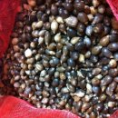 문식농장 이미지