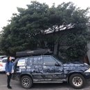 (주)여행조아