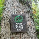 [마감] 5월 3일(토) 12시 30분 원주 &#34; 외갓집 보리밥 &#34; 에서 식사하고 잣나무숲 산책해요~ 이미지