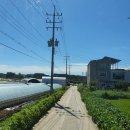 신원4리 이미지