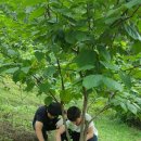 옹달샘 농장 이미지