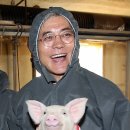 돼지새끼 연합뉴스