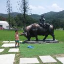 현준목장 이미지