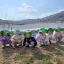 협성아이숲어린이집 이미지