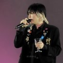 [250215~250216] 미세스그린애플 내한 후기 MGA LIVE in SEOUL, KOREA 2025