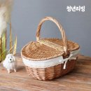 청년피크닉 이미지