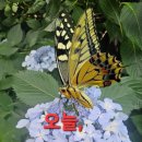 무탈(無頉)이 행복이다 이미지