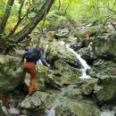 참새미골 이미지