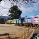 금광초병설유치원 이미지