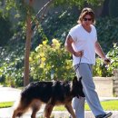 악동강아지 이미지